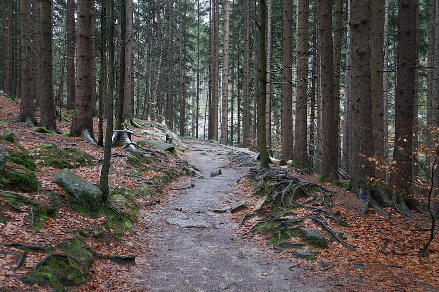 appalachian trail autumn