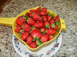 mennonite strawberries