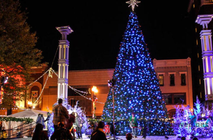 Tree at Market Square Mall