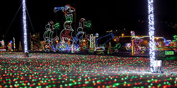 Shadrack Christmas Lights Wonderland