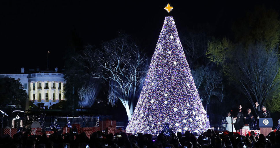 National Christmas Tree D.C.